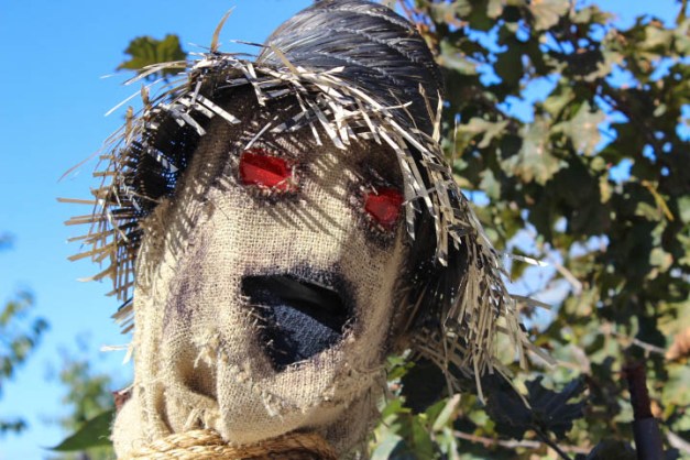 Be Glad Your Nose is on Your Face