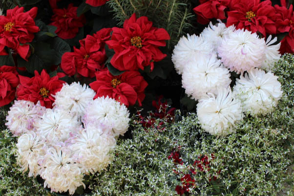 If I had a flower...