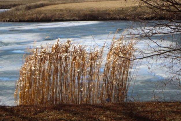 20140119-IMG_0133_zps33ac662a