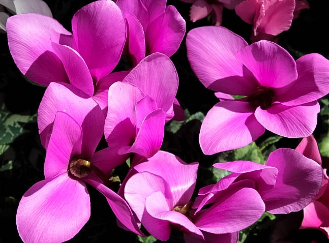 c8837c83-0562-4847-b861-b1b0da5eb045_zps2058b244