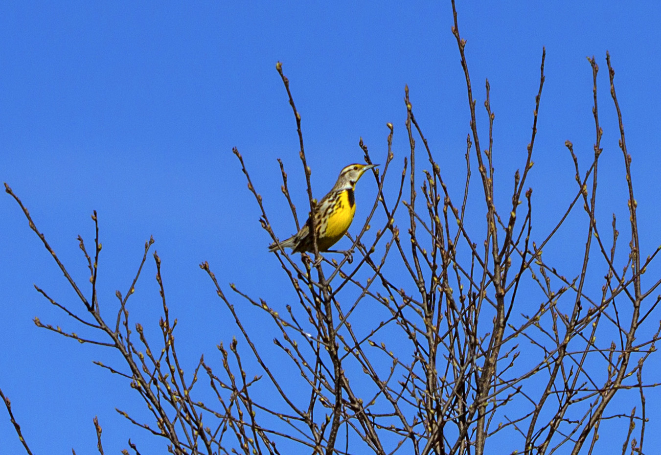 20170318-IMG_0245-Edit