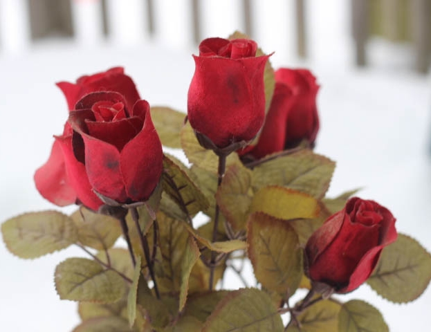 929e7705-7b05-4b82-a49f-df36b7597792_zps0f20c0a7