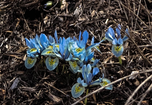 279b5af9-1d55-49dc-8c63-127e6a739edc_zps7374a796