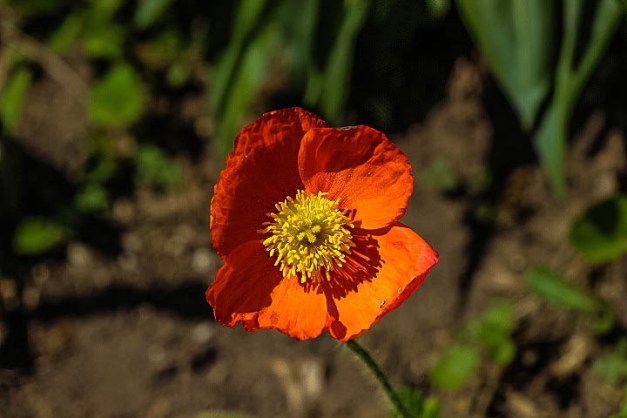 20140518-IMG_0439-Edit