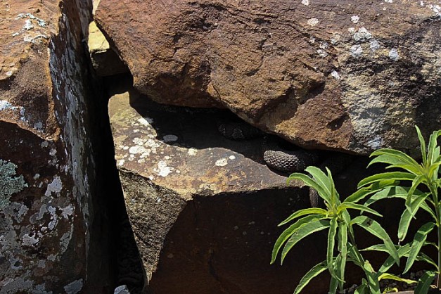 20140518-IMG_0615-Edit-Edit