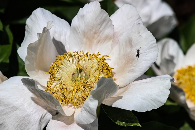 20140511-IMG_0232-Edit