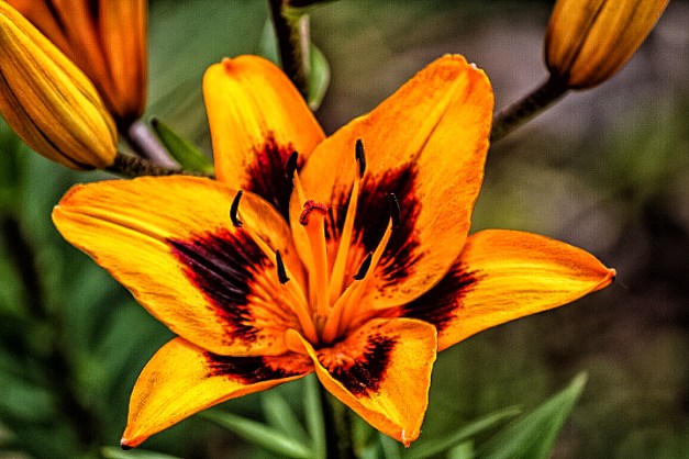 20140614-IMG_0705-Edit-2-Edit