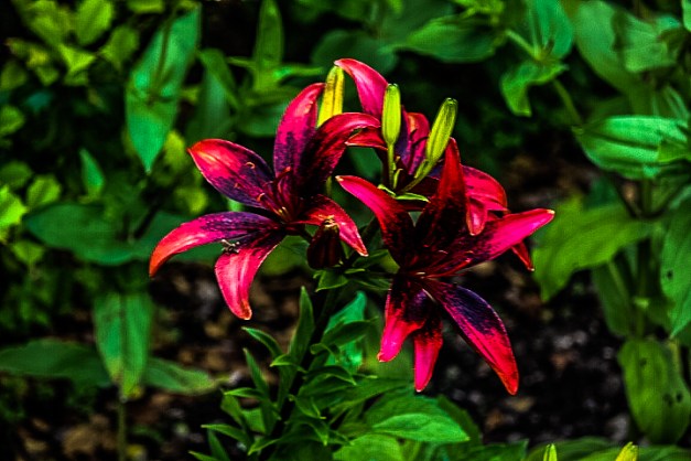 20140614-IMG_0817-Edit-3