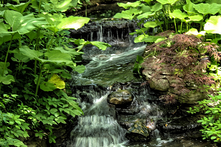 Falling waters ~ | Maverick Mist