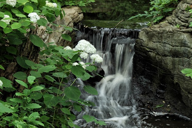 20140621-IMG_0511-Edit-Edit