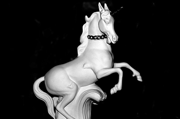 Unicorn