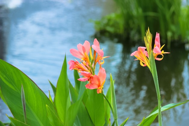 20140629-IMG_0358-Edit