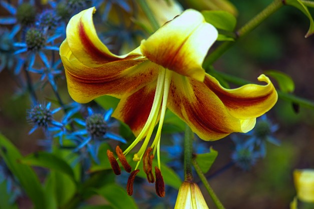 20140706-IMG_0340-Edit-Edit