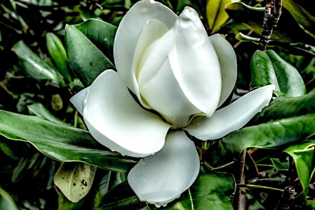 20140713-IMG_0041-Edit-2-Edit