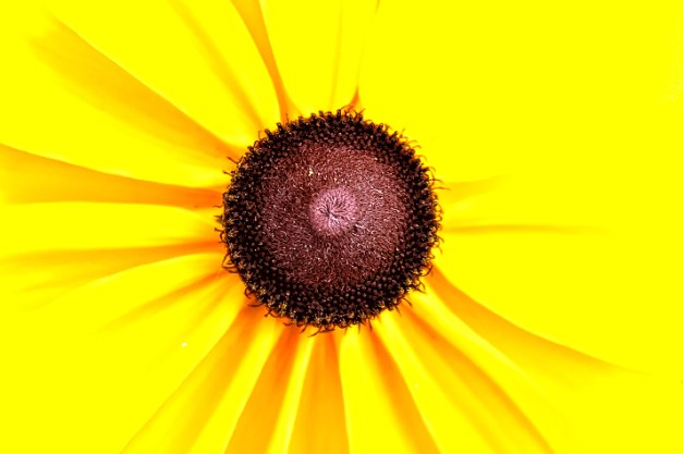 20140713-IMG_0567-Edit-Edit