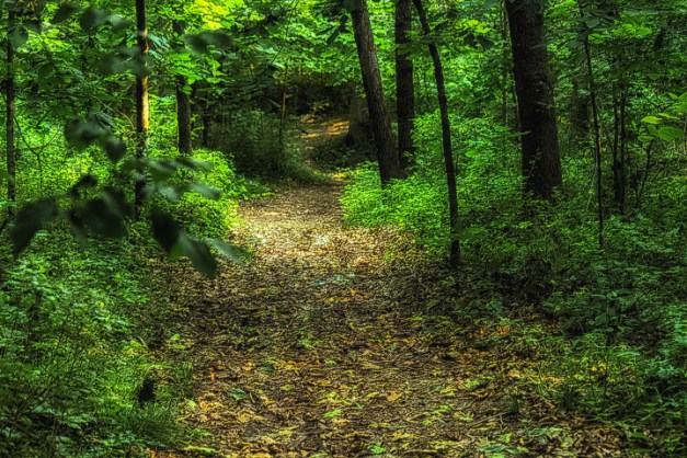 20140720-IMG_0090-Edit-Edit-Edit