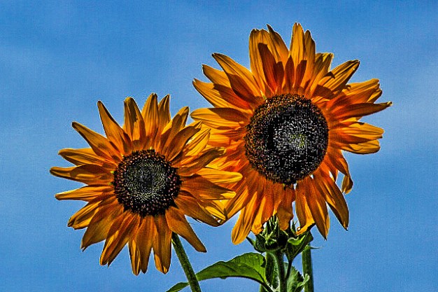 IMG_0842-Edit-Edit-Edit-Edit