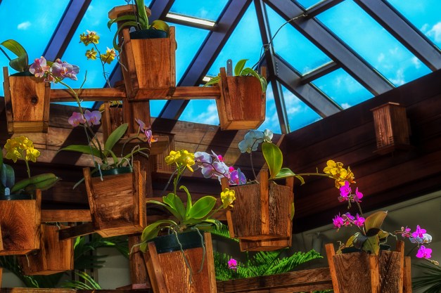 20130413-IMG_0186-Edit-Edit-2