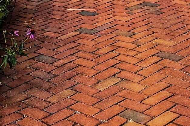 20140801-IMG_0529-Edit-Edit-Edit