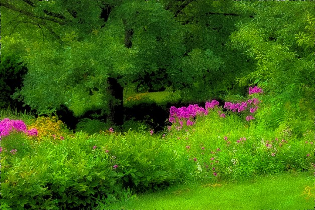 20140801-IMG_0744-Edit-Edit-Edit-Edit