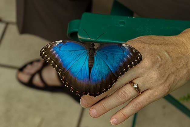 20140810-IMG_0011-Edit