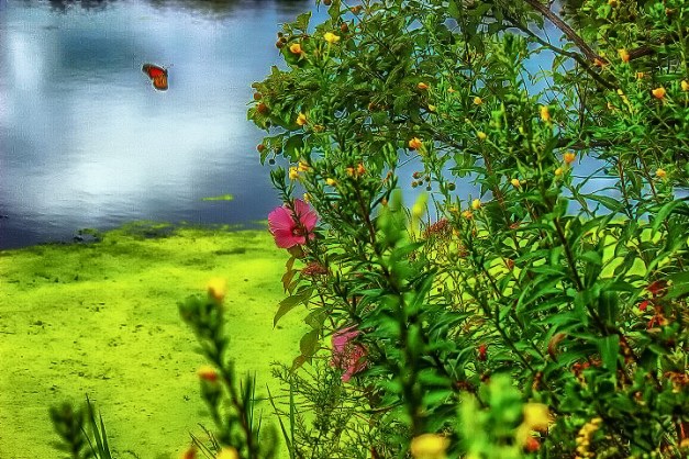 20140817-IMG_0821-Edit-Edit-Edit-Edit-Edit-Edit-Edit-Edit-Edit