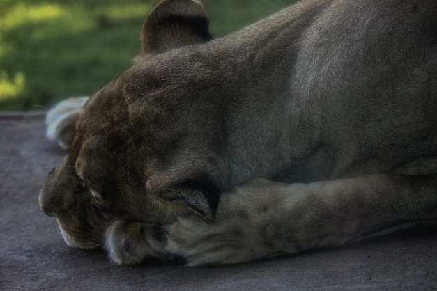 20140831-IMG_0585-Edit-Edit-Edit