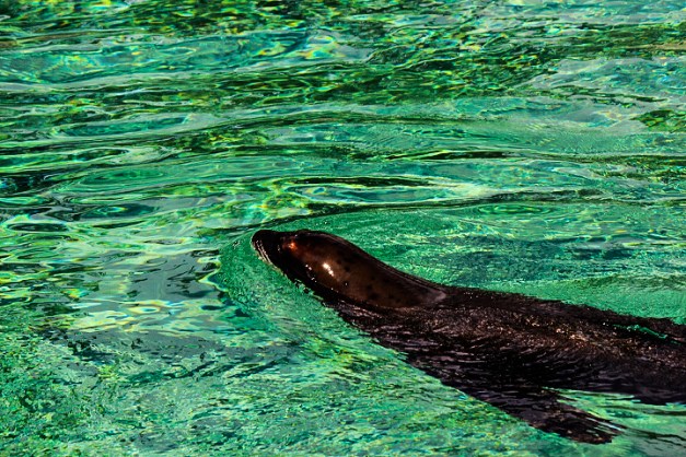 20140831-IMG_1000-Edit-Edit