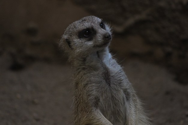 20140831-IMG_1058-Edit-Edit-2