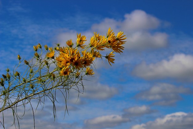 20140906-IMG_0066-Edit-Edit