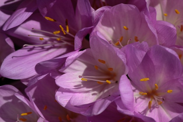 20140913-IMG_0077-Edit