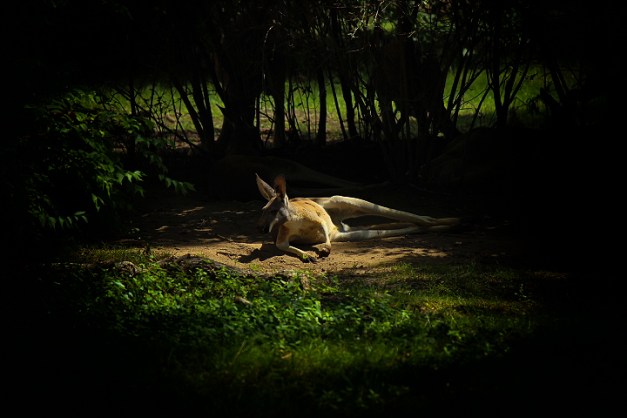 20140831-IMG_1157-Edit-Edit-Edit-2-Edit-Edit-Edit