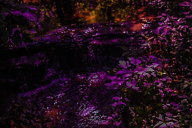 20140901-IMG_0416-Edit