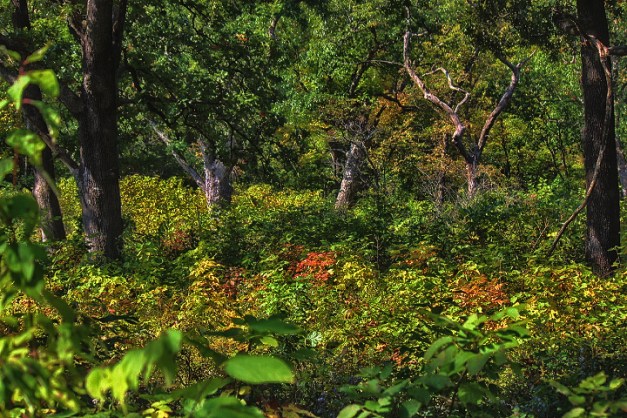 20140927-IMG_0129-Edit-Edit-Edit-Edit