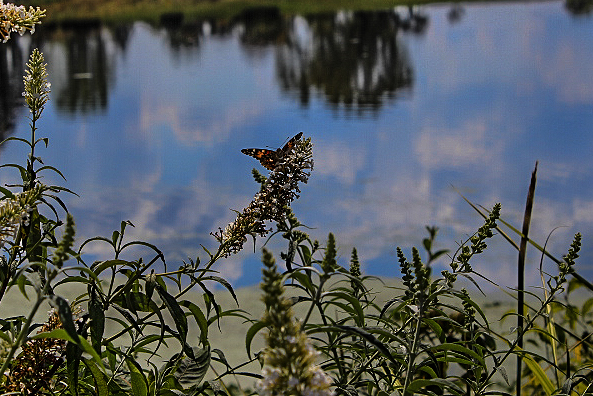 20140928-IMG_0304-Edit-Edit