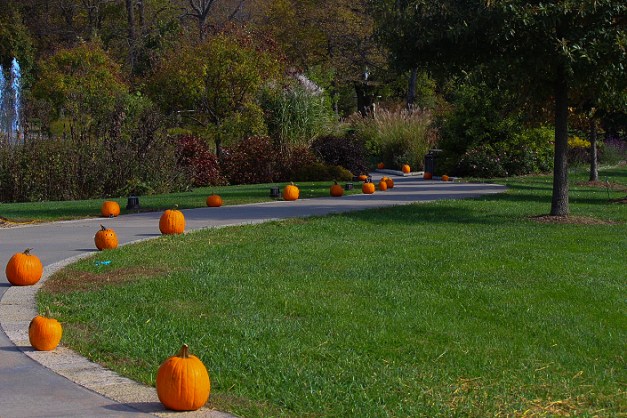 20141019-IMG_0127-Edit-Edit