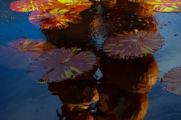 20141019-IMG_0378-Edit-Edit