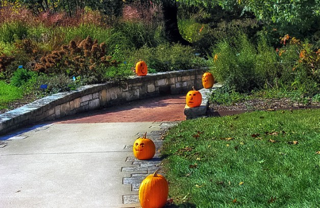 20141019-IMG_0569-Edit