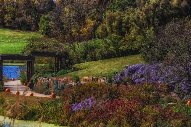 20141019-IMG_0788-Edit-Edit