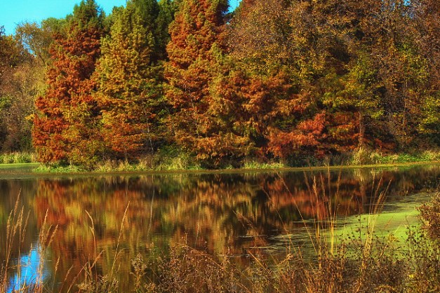 20141025-IMG_0313-Edit-Edit-Edit