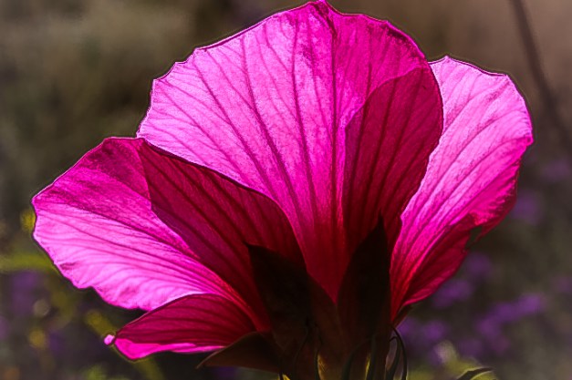 20140928-IMG_0261-Edit