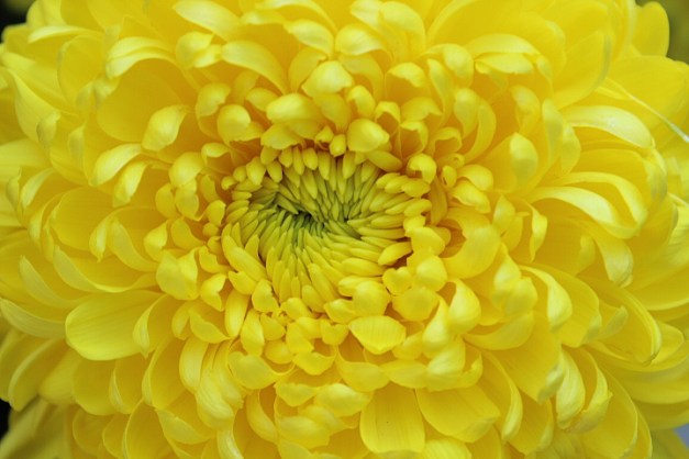 20141102-IMG_0042-Edit