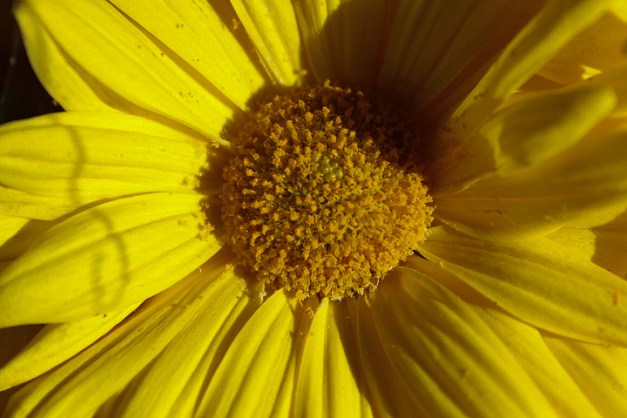 20141110-IMG_0018-Edit