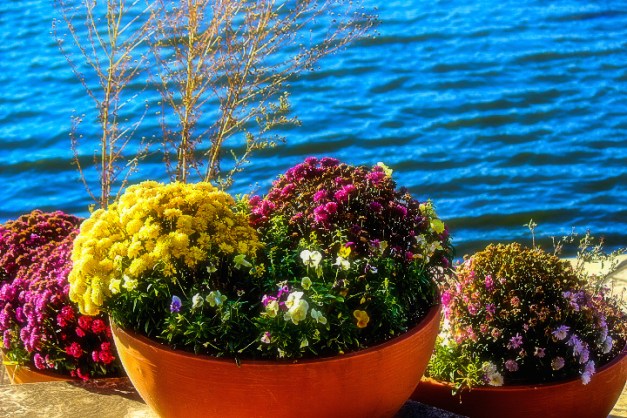 20141110-IMG_0225-Edit-Edit-Edit