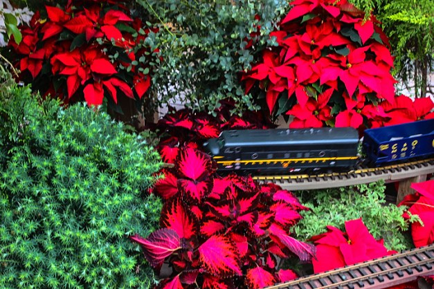 20141122-IMG_0113-Edit-Edit-Edit