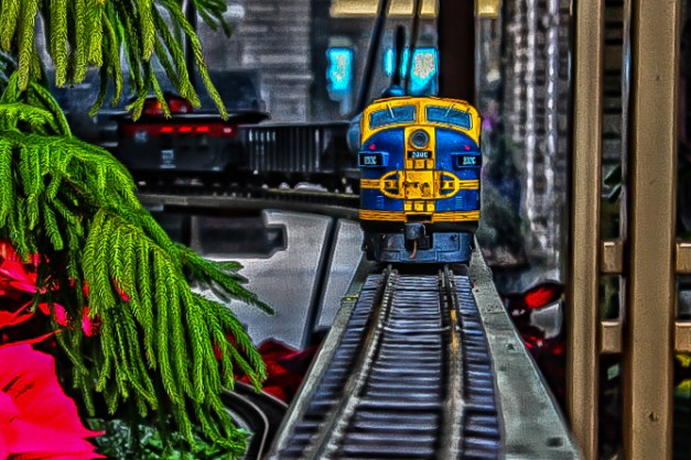 20141122-IMG_0125-Edit-Edit