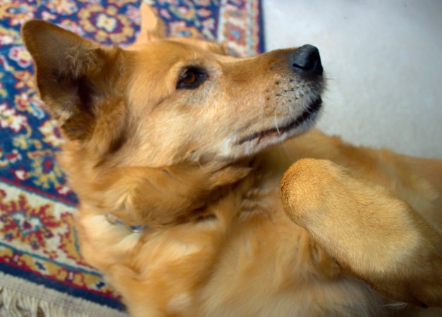 IMG_0075-Edit-Edit-Edit