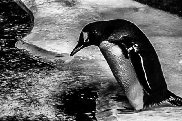 20140831-IMG_0067-Edit-Edit-Edit