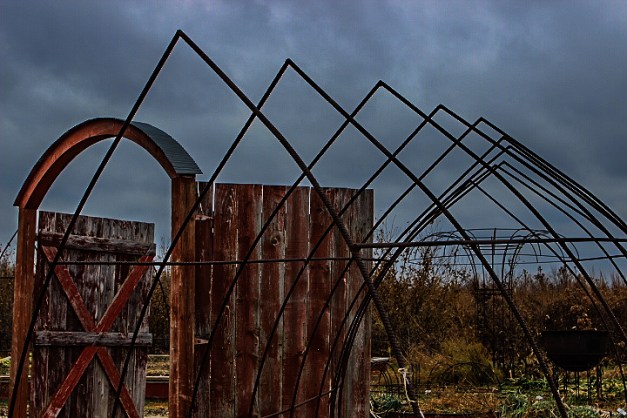 20141122-IMG_0150-Edit-Edit-Edit