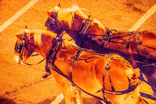 20141129-IMG_0282-Edit-2-2